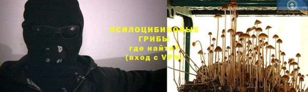 шишки Сосновка