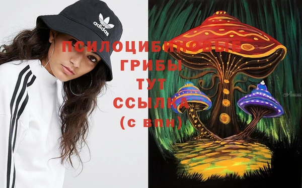 метадон Жердевка