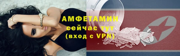 шишки Сосновка