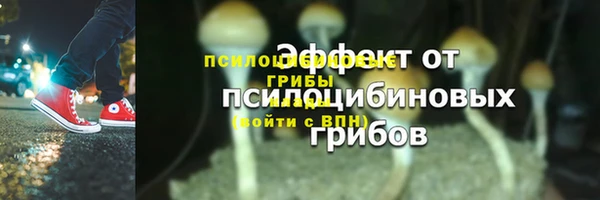 шишки Сосновка