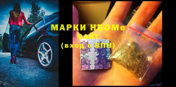 шишки Сосновка
